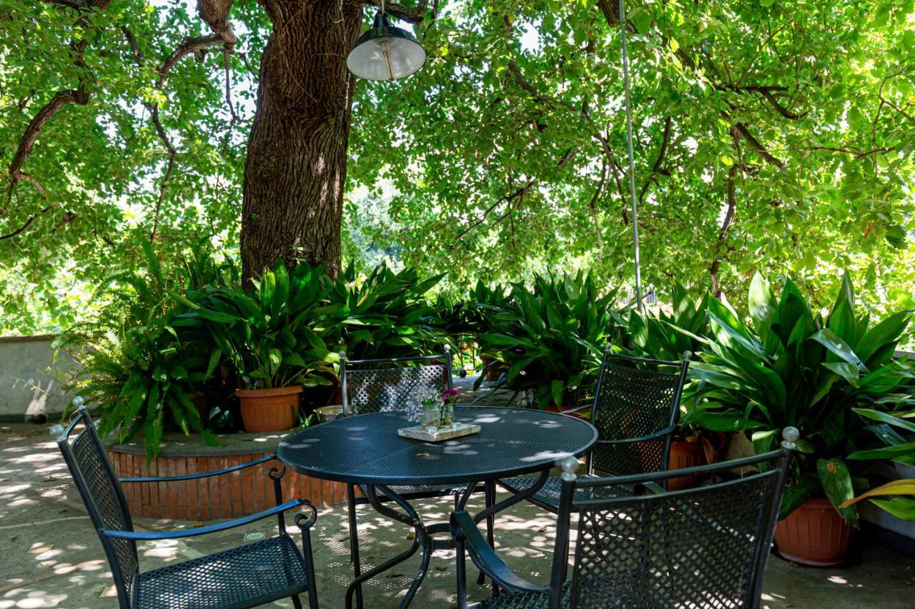 Villa La Quercia Meta Exteriör bild