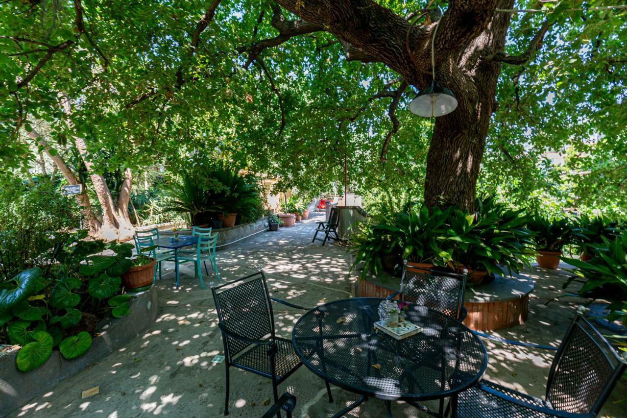 Villa La Quercia Meta Exteriör bild